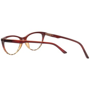 Plastic Reading Glasses