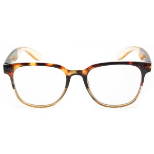 Plastic Reading Glasses