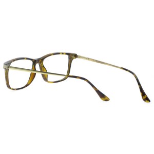 Plastic Reading Glasses