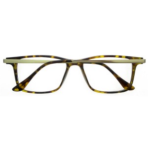 Plastic Reading Glasses