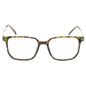 Plastic Reading Glasses