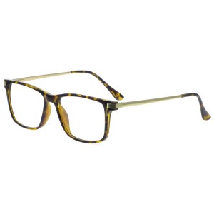 Plastic Reading Glasses