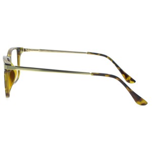 Plastic Reading Glasses