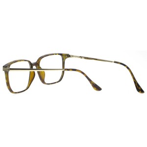 Plastic Reading Glasses