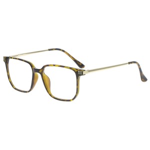 Plastic Reading Glasses