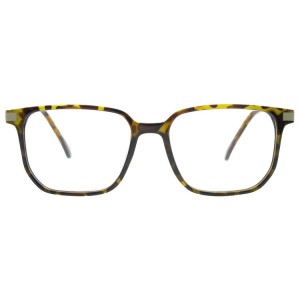 Plastic Reading Glasses