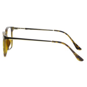 Plastic Reading Glasses