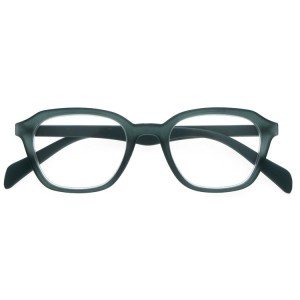 Plastic Reading Glasses