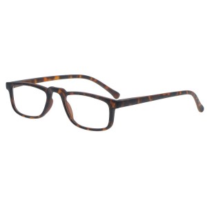 Plastic Reading Glasses