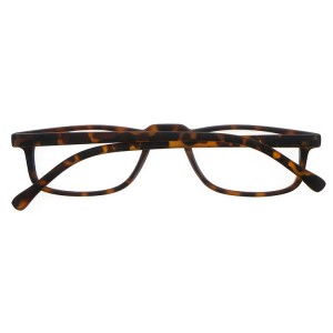 Plastic Reading Glasses