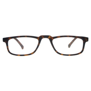 Plastic Reading Glasses