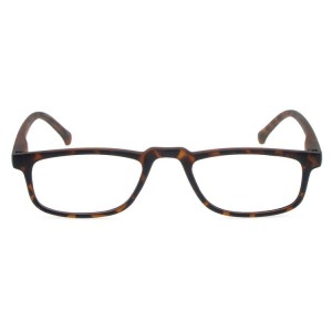 Plastic Reading Glasses