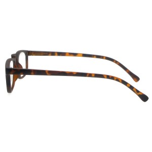 Plastic Reading Glasses