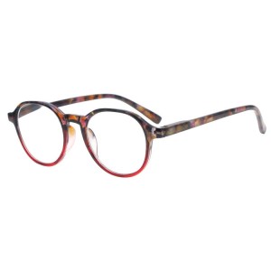 Plastic Reading Glasses