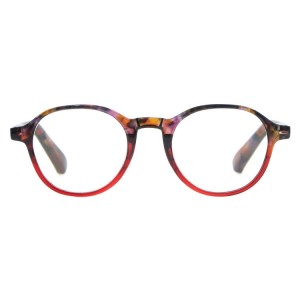 Plastic Reading Glasses