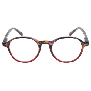 Plastic Reading Glasses