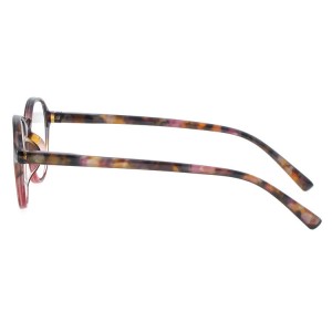 Plastic Reading Glasses