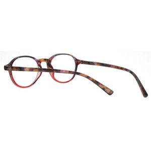 Plastic Reading Glasses