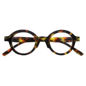 Plastic Reading Glasses