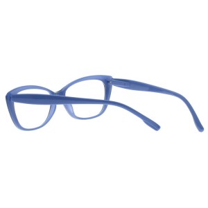 Plastic Reading Glasses