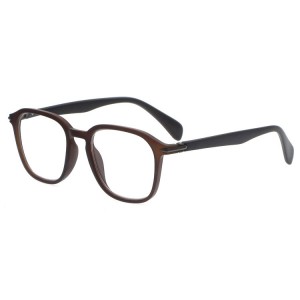 Plastic Reading Glasses