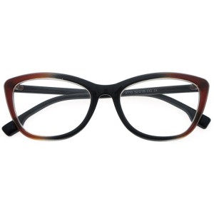 Plastic Reading Glasses