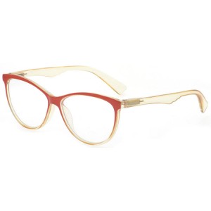 Plastic Reading Glasses