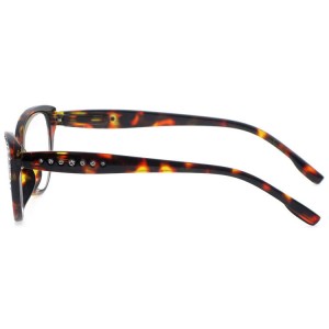 Plastic Reading Glasses