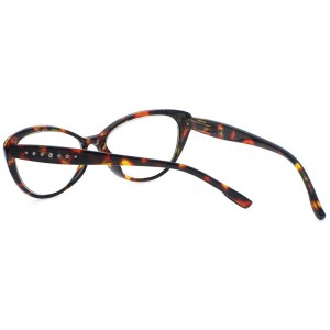 Plastic Reading Glasses