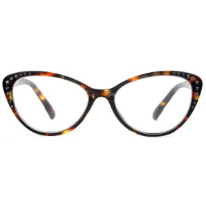 Plastic Reading Glasses