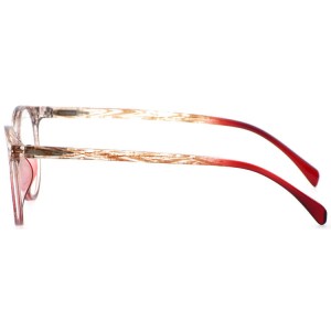 Plastic Reading Glasses