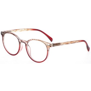 Plastic Reading Glasses