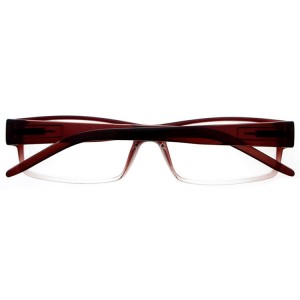 Plastic Reading Glasses