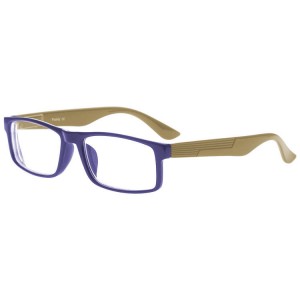 Plastic Reading Glasses