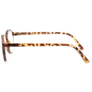 Plastic Reading Glasses