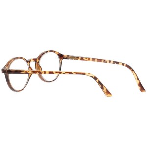 Plastic Reading Glasses