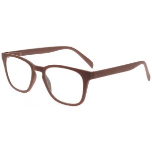 Plastic Reading Glasses