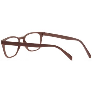 Plastic Reading Glasses