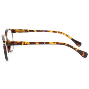 Plastic Reading Glasses