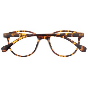 Plastic Reading Glasses