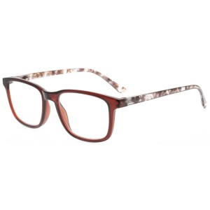 Plastic Reading Glasses