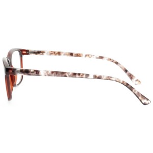 Plastic Reading Glasses