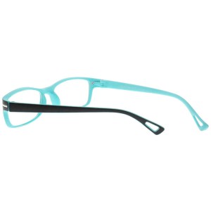 Plastic Reading Glasses