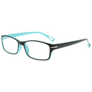 Plastic Reading Glasses