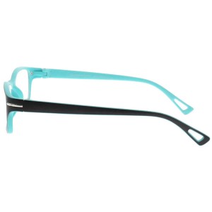 Plastic Reading Glasses