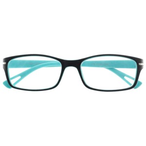 Plastic Reading Glasses