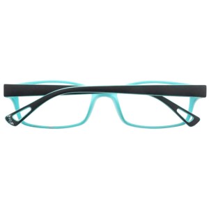 Plastic Reading Glasses