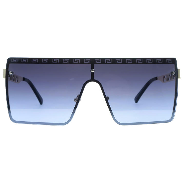 Dachuan Optical DSM341030 China Supplier Good Quality Metal Sunglasses With Special Legs (5)