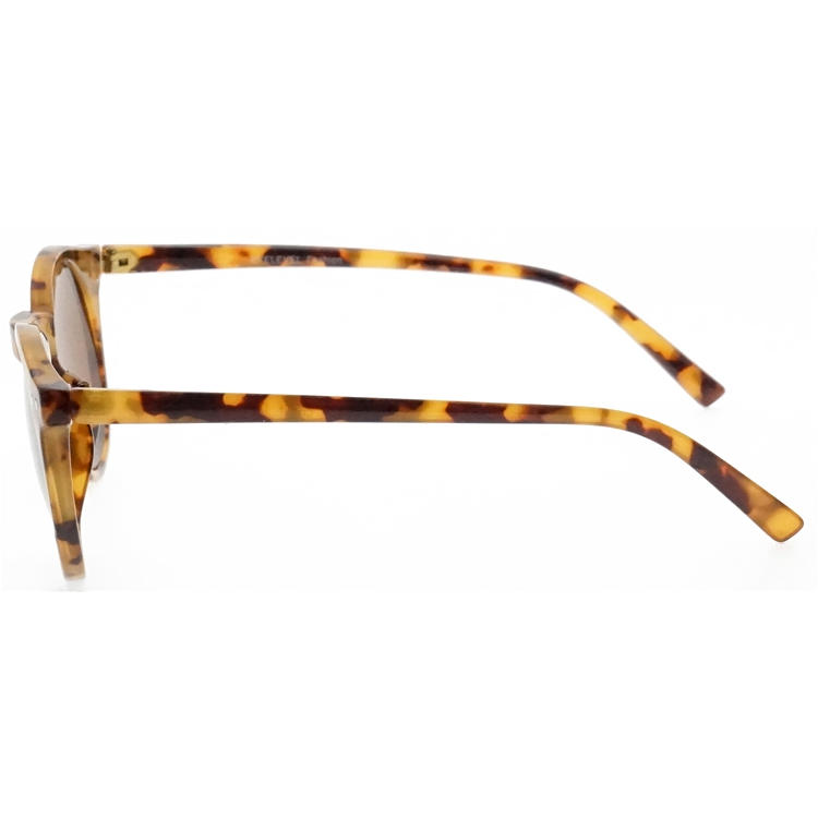 Dachuan Optical DSP127074 China Supplier Modern Design PC Sunglasses With Tortoise Color (6)