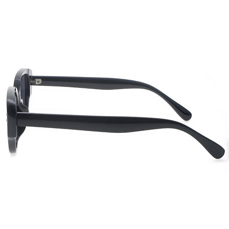 Dachuan Optical DSP127081 China Supplier Good Quality Plastic Sunglasses With Custom Logo (8)